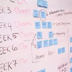 software development project management